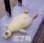 李宇春作曲的無價(jià)之姐被訴抄襲 原告索賠200萬