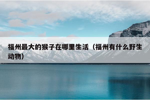 福州最大的猴子在哪里生活（福州有什么野生動物）