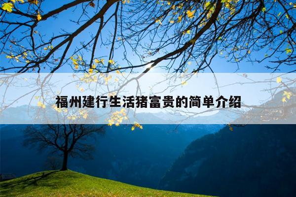 福州建行生活豬富貴的簡單介紹