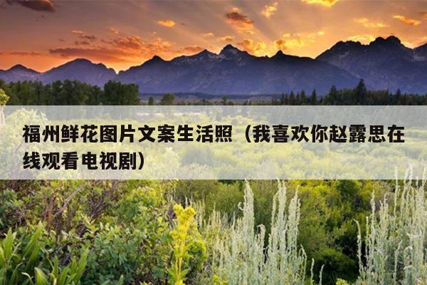 福州鮮花圖片文案生活照（我喜歡你趙露思在線觀看電視劇）