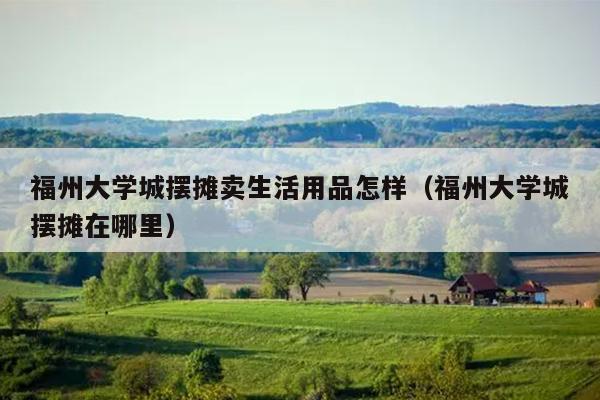 福州大學城擺攤賣生活用品怎樣（福州大學城擺攤在哪里）