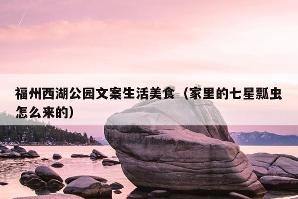 福州西湖公園文案生活美食（家里的七星瓢蟲怎么來的）
